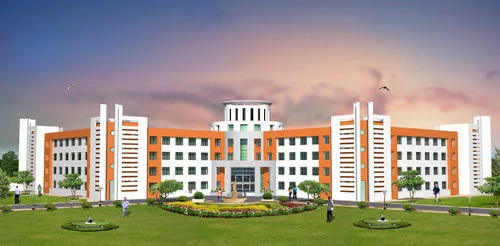 Government and institutional